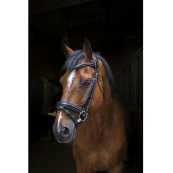 Cabezada de montar Eric Thomas Pro Design Negro