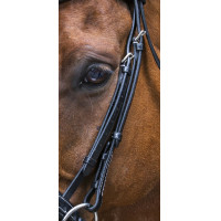 Cabezada de montar Eric Thomas Pro Design Negro