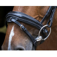 Cabezada de montar Eric Thomas Pro Design Negro