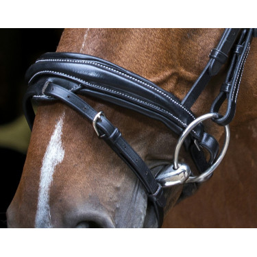 Cabezada de montar Eric Thomas Pro Design Negro