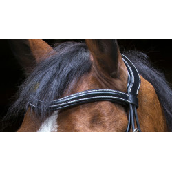 Cabezada de montar Eric Thomas Pro Design Negro