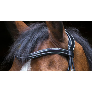 Cabezada de montar Eric Thomas Pro Design Negro