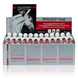 Equistro Ipaligo Potro Equistro Ipaligo Potro