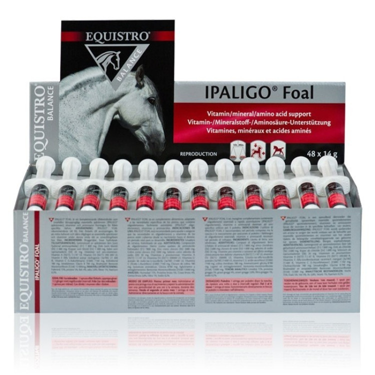 Equistro Ipaligo Potro Equistro Ipaligo Potro