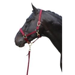 Cabezada Classy Covalliero Cabezada Classy Covalliero