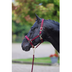 Cabezada Classy Covalliero Cabezada Classy Covalliero
