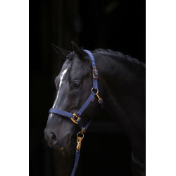 Cabezada TopLine Covalliero Cabezada TopLine Covalliero