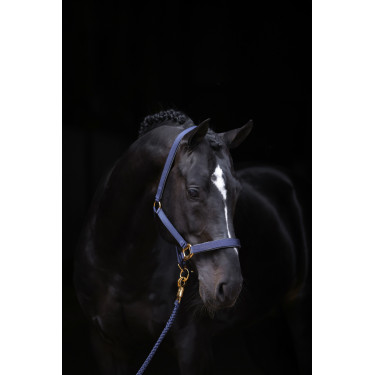 Cabezada TopLine Covalliero Cabezada TopLine Covalliero