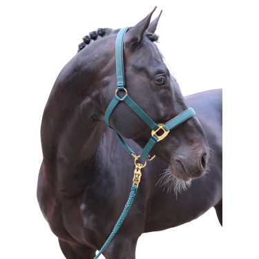 Cabezada TopLine Covalliero Cabezada TopLine Covalliero