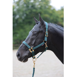 Cabezada TopLine Covalliero Cabezada TopLine Covalliero