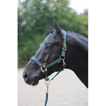 Cabezada TopLine Covalliero Cabezada TopLine Covalliero