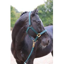 Cabezada TopLine Covalliero Cabezada TopLine Covalliero