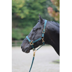 Cabezada TopLine Covalliero Cabezada TopLine Covalliero