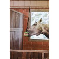 Spielzeug Delizia® Sandwich Kerbl Zanahoria