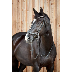 Cabezada anatómica Horze Highbury frontal con strass Cabezada anatómica Horze Highbury frontal con strass