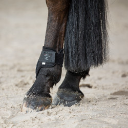 Horze Conjunto de Protectores de Tendones y Menudillos Armour Negro Horze Conjunto de Protectores de Tendones y Menudillos Armour Negro