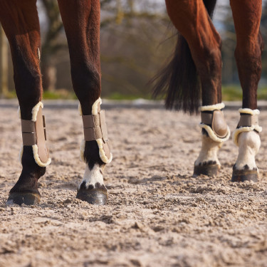 Horze Protectores de Tendón con Forro de Piel Sintética Windsor Marrón claro Marr&amp;oacute;n