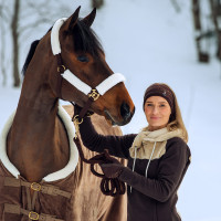 Cabezada de cordero Horze Lincoln Marrón oscuro / blanco roto Cabezada de cordero Horze Lincoln Marrón oscuro / blanco roto