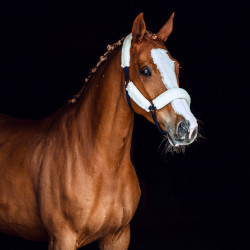Cabezada de cordero Horze Lincoln Vestido azul / blanco roto Cabezada de cordero Horze Lincoln Vestido azul / blanco roto