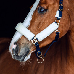 Cabezada de cordero Horze Lincoln Vestido azul / blanco roto Cabezada de cordero Horze Lincoln Vestido azul / blanco roto