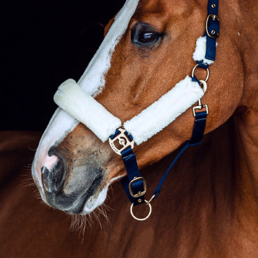 Cabezada de cordero Horze Lincoln Vestido azul / blanco roto Cabezada de cordero Horze Lincoln Vestido azul / blanco roto
