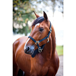 Cabezada de nylon Finn-Tack Azul