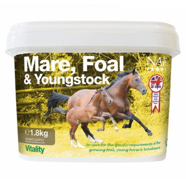 Yeguas, potros y caballos jóvenes NAF Yeguas, potros y caballos jóvenes NAF
