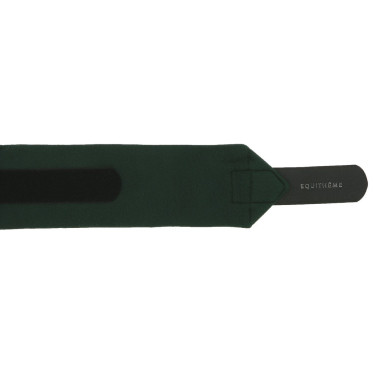 Vendas de polo Equithème Verde