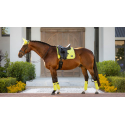 Mantilla LeMieux Loire Classic Dressage Square Kiwi Kaki