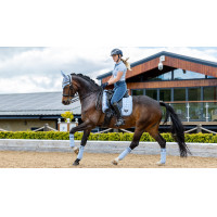 Vendas de polo Loire LeMieux Negro