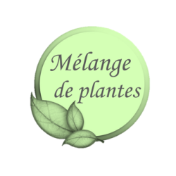 Ajo Plus ESC Laboratoire Ajo Plus ESC Laboratoire