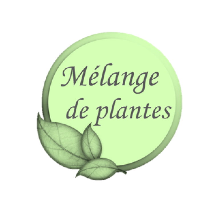 Ajo Plus ESC Laboratoire Ajo Plus ESC Laboratoire