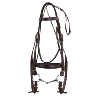 Cabezada Excelsior extra-full Negro