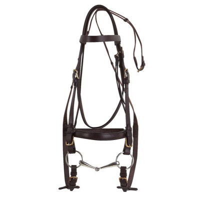 Cabezada Excelsior extra-full Negro