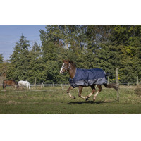 Manta Equi-Theme Tyrex 600 D High Neck 300g