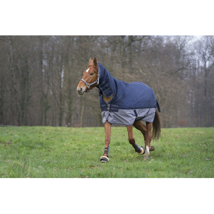 Manta Equi-Theme Tyrex 600 D Combo Manta Equi-Theme Tyrex 600 D Combo