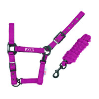 new Fucsia