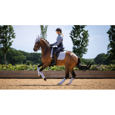 Vendas polo LeMieux Luxury Niebla Azul