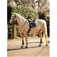 Orejeras anti-moscas LeMieux Junior Loire Azul marino