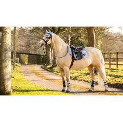 Orejeras anti-moscas LeMieux Junior Loire Niebla Azul