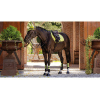 Mantilla LeMieux Prosport Close contact S - suede Kiwi