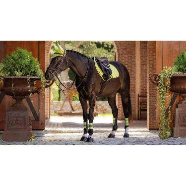 Mantilla LeMieux Prosport Close contact S - suede Mantilla LeMieux Prosport Close contact S - suede