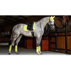 Mantilla LeMieux doma square - luxury Kiwi Kaki