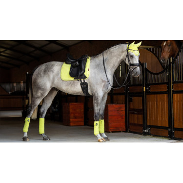 Mantilla LeMieux doma square - luxury Kiwi Kaki