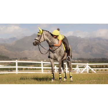 Protectores LeMieux Grafter Protectores LeMieux Grafter