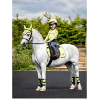 Mantilla Mini LeMieux Suede Jump Square Chilli modelo antiguo