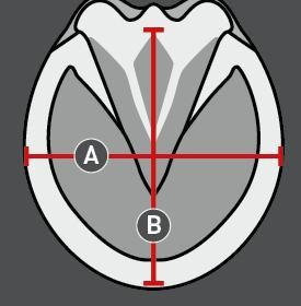 Ilustración de la guía de tallas para Zapatos de goma Equine Fusion