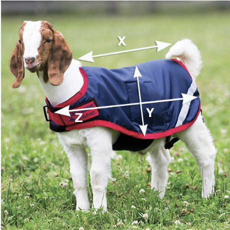 Ilustración de la guía de tallas para Mascotas Horseware