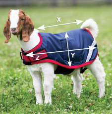 Ilustración de la guía de tallas para Mascotas Horseware