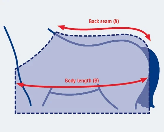 Ilustración de la guía de tallas para Manta Weatherbeeta